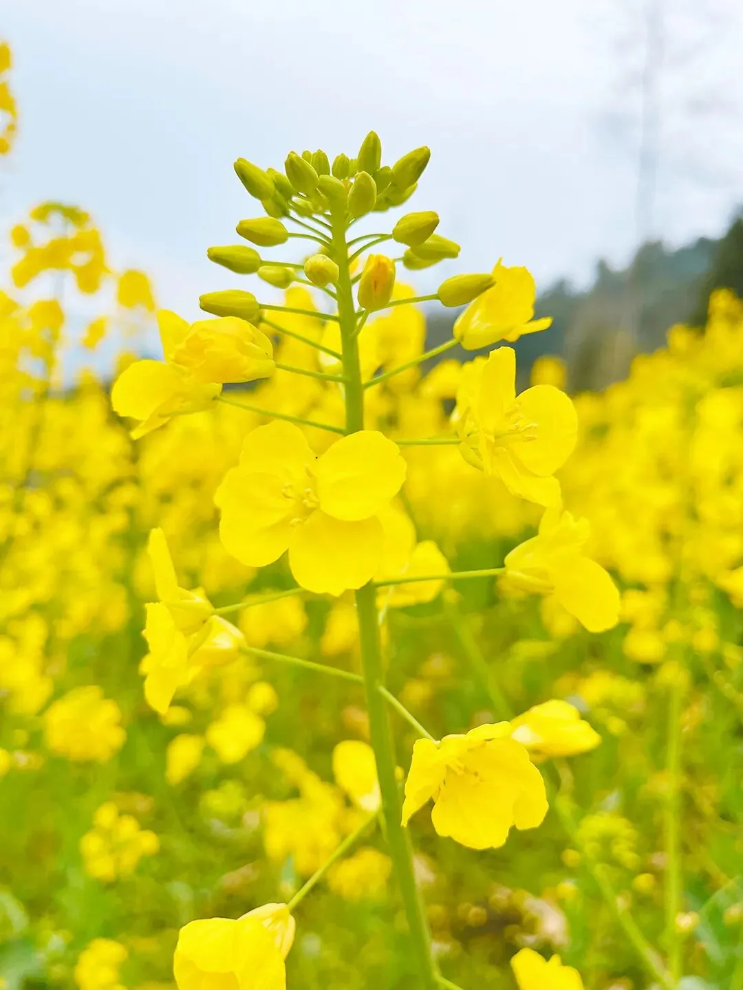 【高二各地试卷】湖北武汉市5G联合体2025-2026学年下学期期中高二数学+答案 第12张