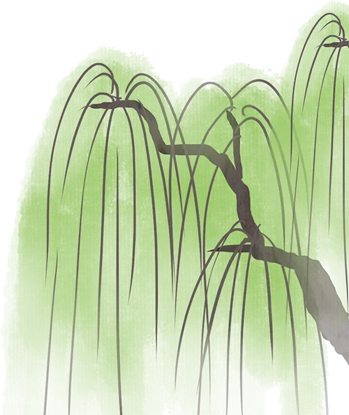 【中考物理】2026年中考物理《常考知识点默写小纸条》默写版+背诵版,完整电子版可打印! 第2张