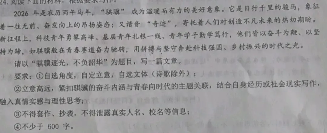 中考优秀范文两篇《骐骥逐光,不负韶华》 第1张