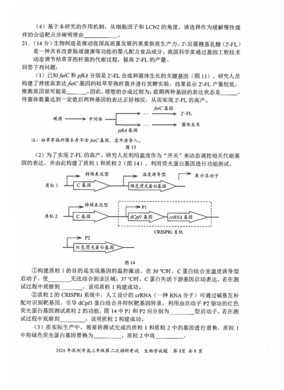 2026年4月深圳高三二模生物学试卷和参考答案 第8张