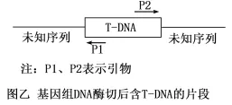 高考真题‖2025高考生物学真题分类汇编专题十七之03 基因工程的基本操作程序及应用和蛋白质工程(2) 第6张