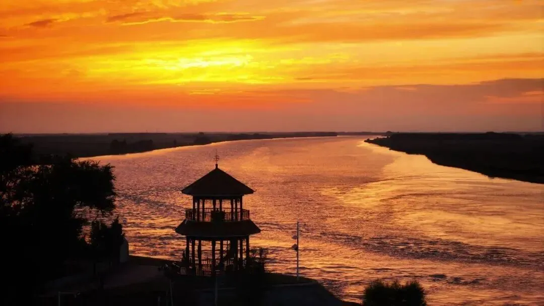 26山东真题:农创客?能为乡村带来新理念、新技术、新业态,与传统农业形成“新与老的交织和转化”?对此,谈谈你的理解与看法. 第2张