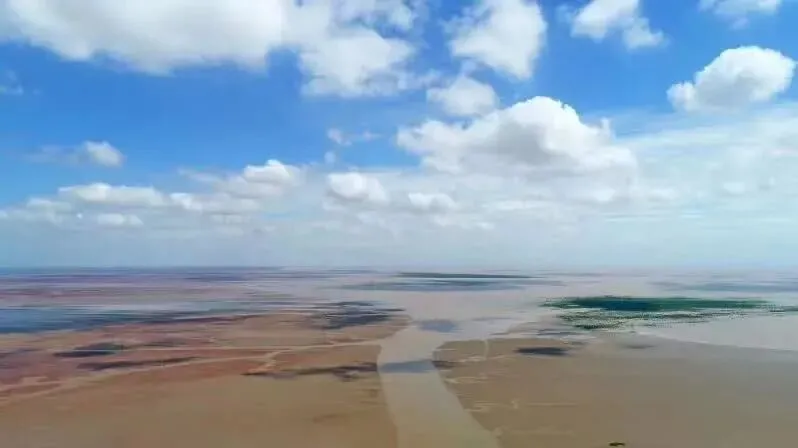 26山东真题:农创客?能为乡村带来新理念、新技术、新业态,与传统农业形成“新与老的交织和转化”?对此,谈谈你的理解与看法. 第3张