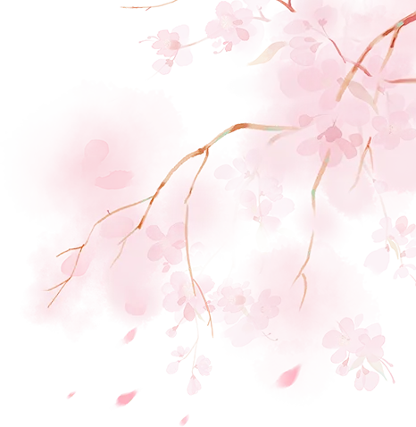 开卷赋能,素养导向——湘潭市2026年中考生物复习研讨会在我校圆满举行 第3张