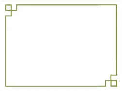 开卷赋能,素养导向——湘潭市2026年中考生物复习研讨会在我校圆满举行 第4张