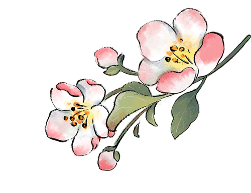 开卷赋能,素养导向——湘潭市2026年中考生物复习研讨会在我校圆满举行 第9张