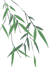 开卷赋能,素养导向——湘潭市2026年中考生物复习研讨会在我校圆满举行 第10张