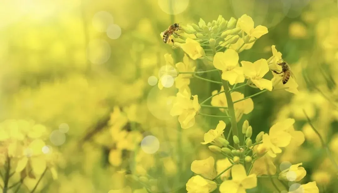 天津中考体育科目以及分数!附河东区二手房优质陪读房源分! 第32张