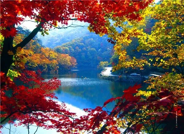 2026中考一模沈阳市苏家屯区化学试卷及参考答案 昌图县杨智超初中化学名师种子工作室 智慧化学教学 出峡飞舟 第19张