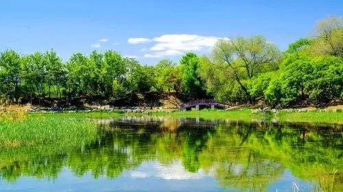 2026届高三高考模拟考试题“夔州风土诗两首”考后讲评指导 第1张