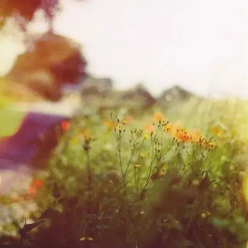 火爆力推:《为什么我的高考试卷总是白纸啊?》(TXT小说)免费 第3张