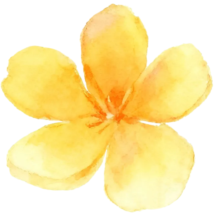 智数赋能共研复习 城乡携手备战中考——南师附中新城初中与桠溪中学开展“城乡初中一体化发展联盟”联合教研活动 第11张