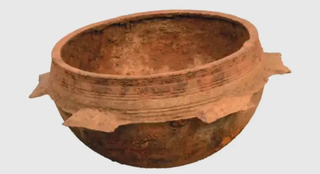 2026年中考历史热点专练6:古代中国科技文化 第7张