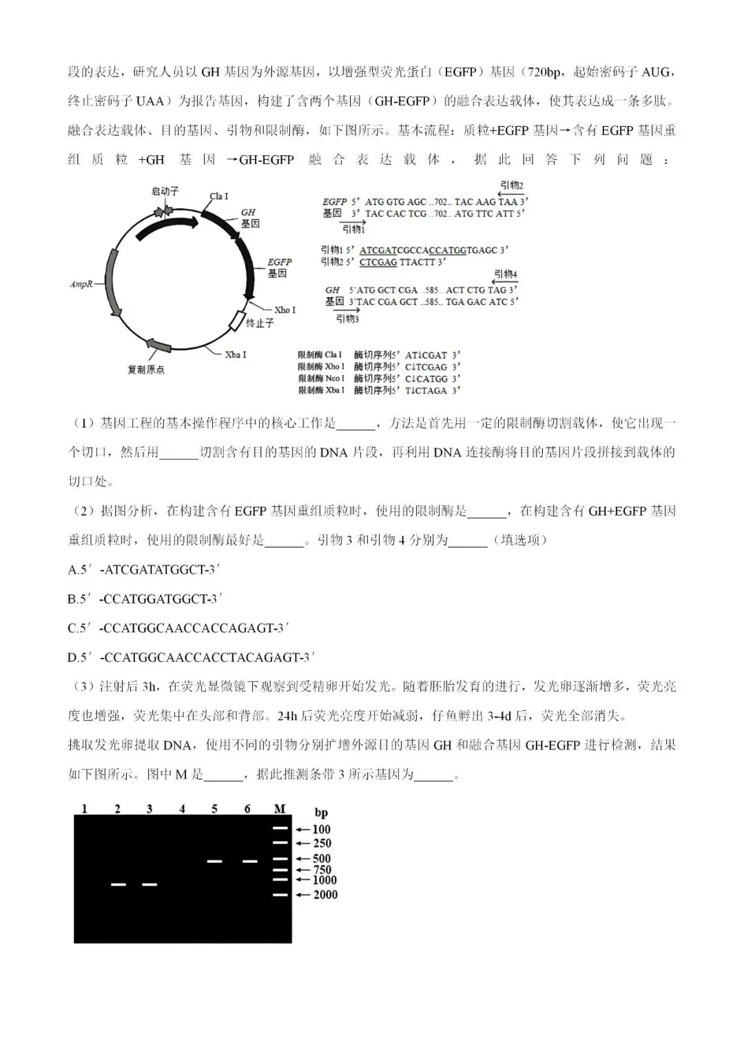 2026年4月高考模拟考试生物学 第10张