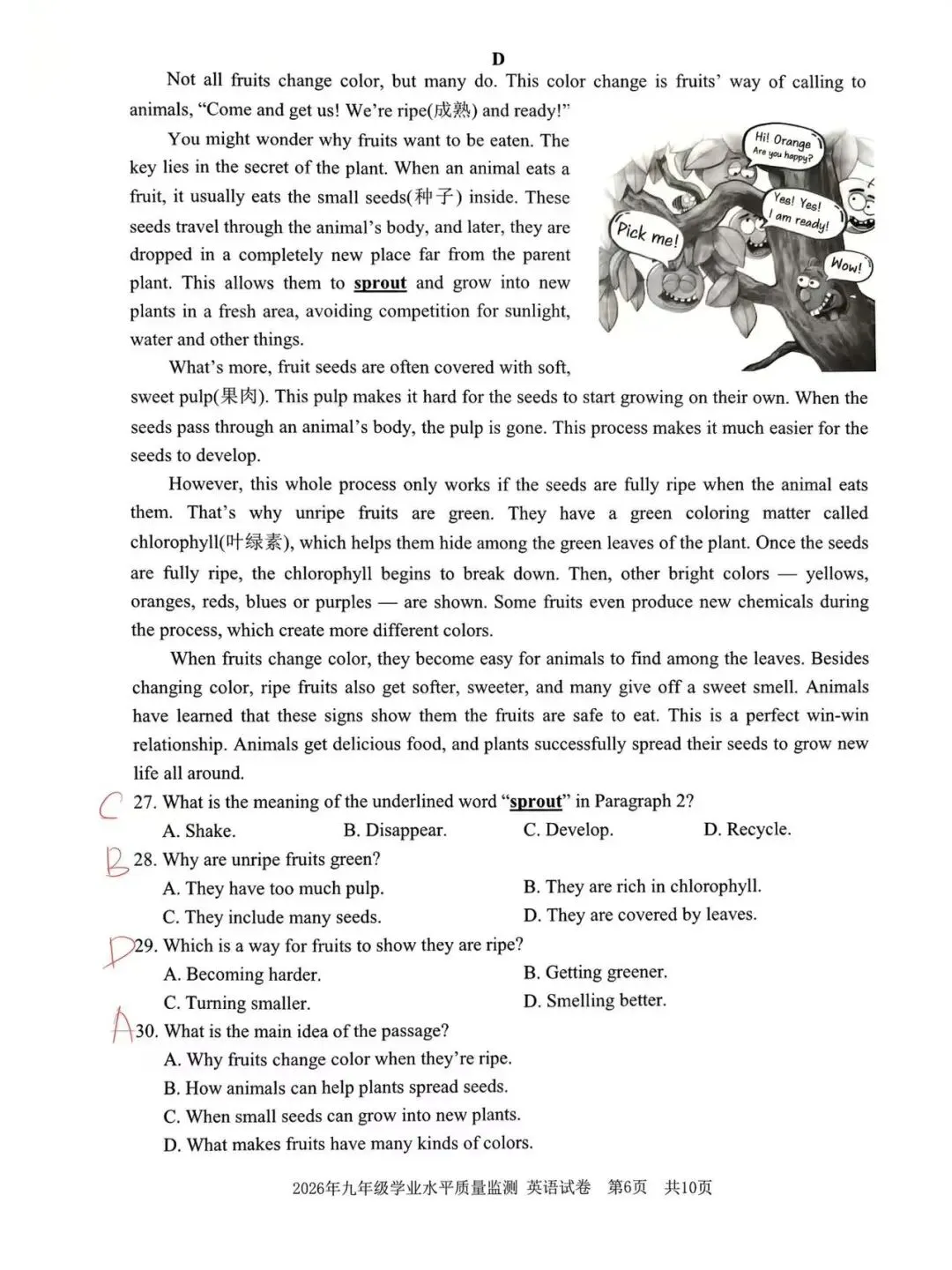 2026年宁波中考一模真题 第6张