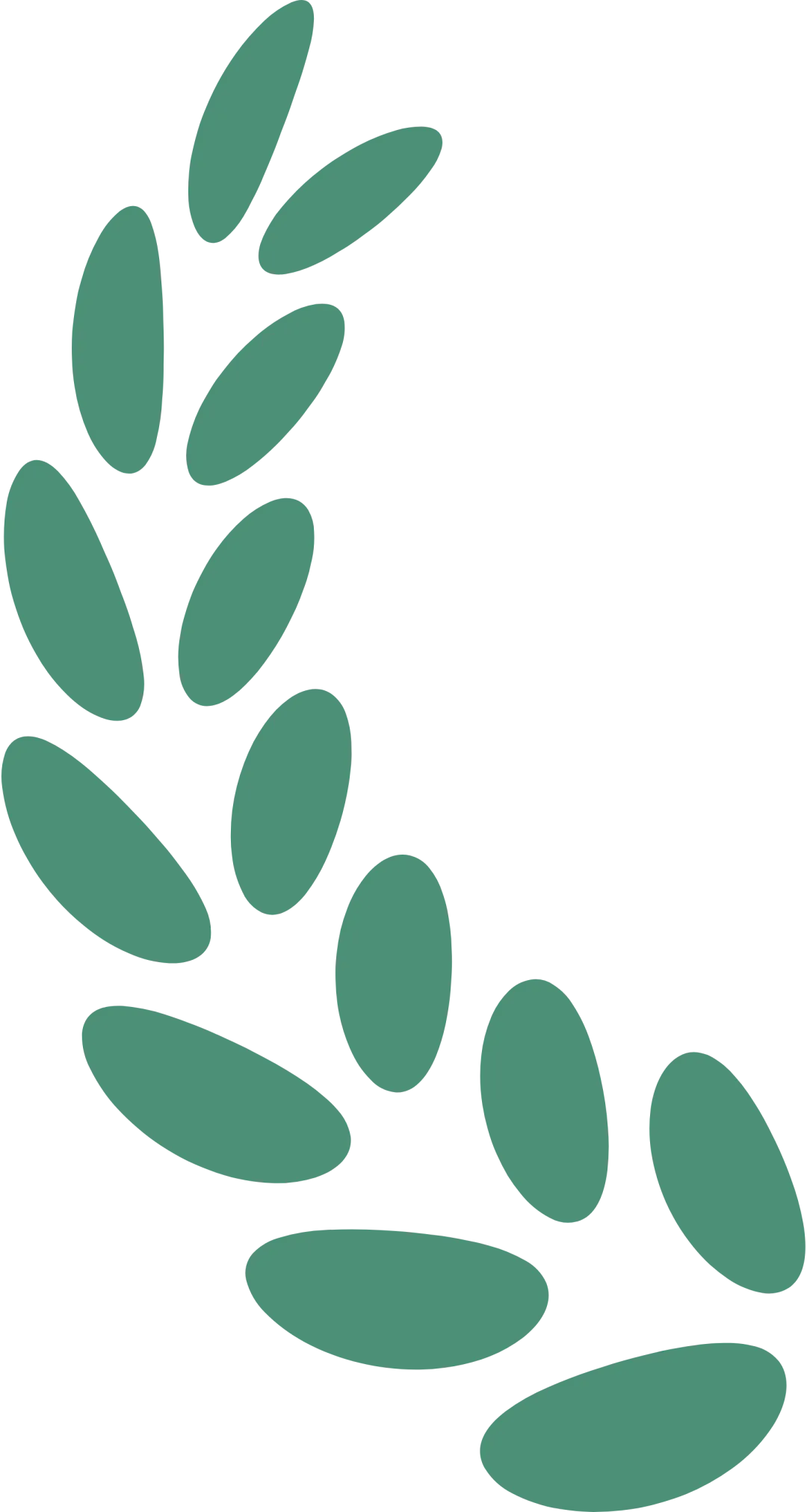 中考一轮||道法 八下 第一单元《坚持宪法至上》 第30张