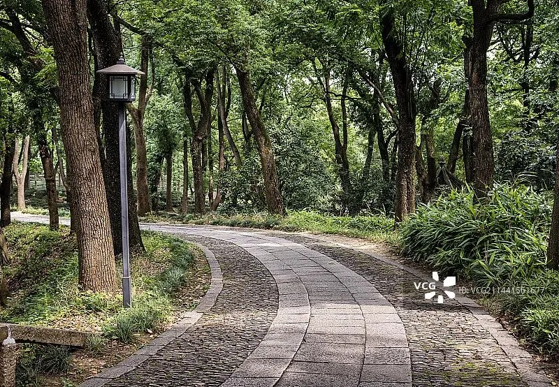 【深外】2025春季四大期中作文真题拆解 第3张