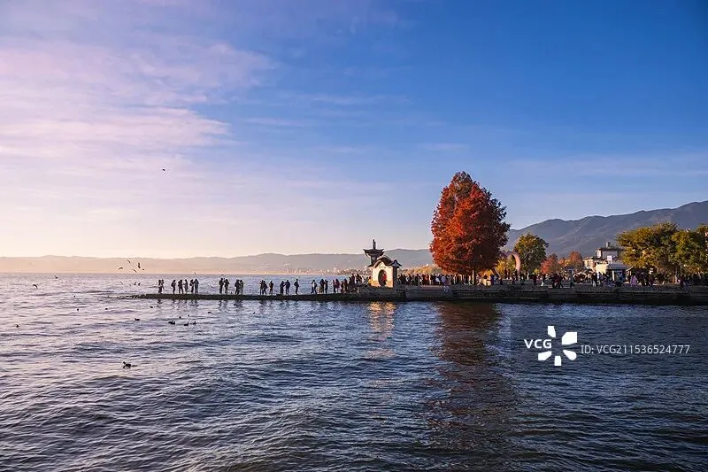 【深外】2025春季四大期中作文真题拆解 第5张