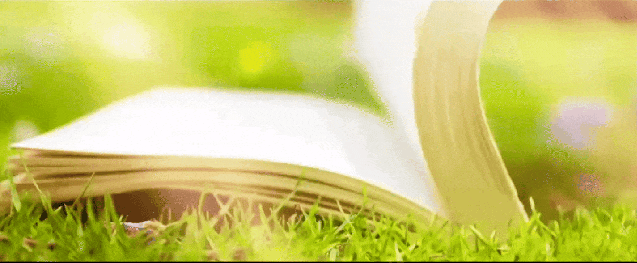 哈十七中2026年八下期中检测英语试卷 第14张