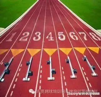 东莞体育中考培训周末班开始报名招生 第1张