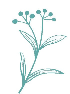 研思赋能备中考,实效课堂提质效——杭州市大关实验中学开展初中科学复习研讨活动 第4张