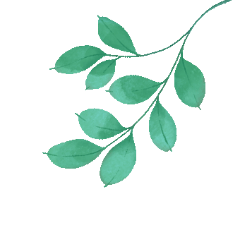 研思赋能备中考,实效课堂提质效——杭州市大关实验中学开展初中科学复习研讨活动 第5张