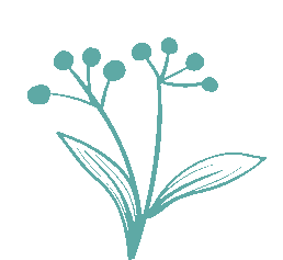 研思赋能备中考,实效课堂提质效——杭州市大关实验中学开展初中科学复习研讨活动 第7张