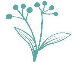 研思赋能备中考,实效课堂提质效——杭州市大关实验中学开展初中科学复习研讨活动 第23张