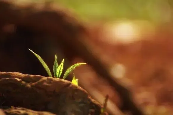 【家校共育】一场沟通的雪崩:天津家长要试卷事件深度复盘,读懂家校沟通的底层温柔 第3张
