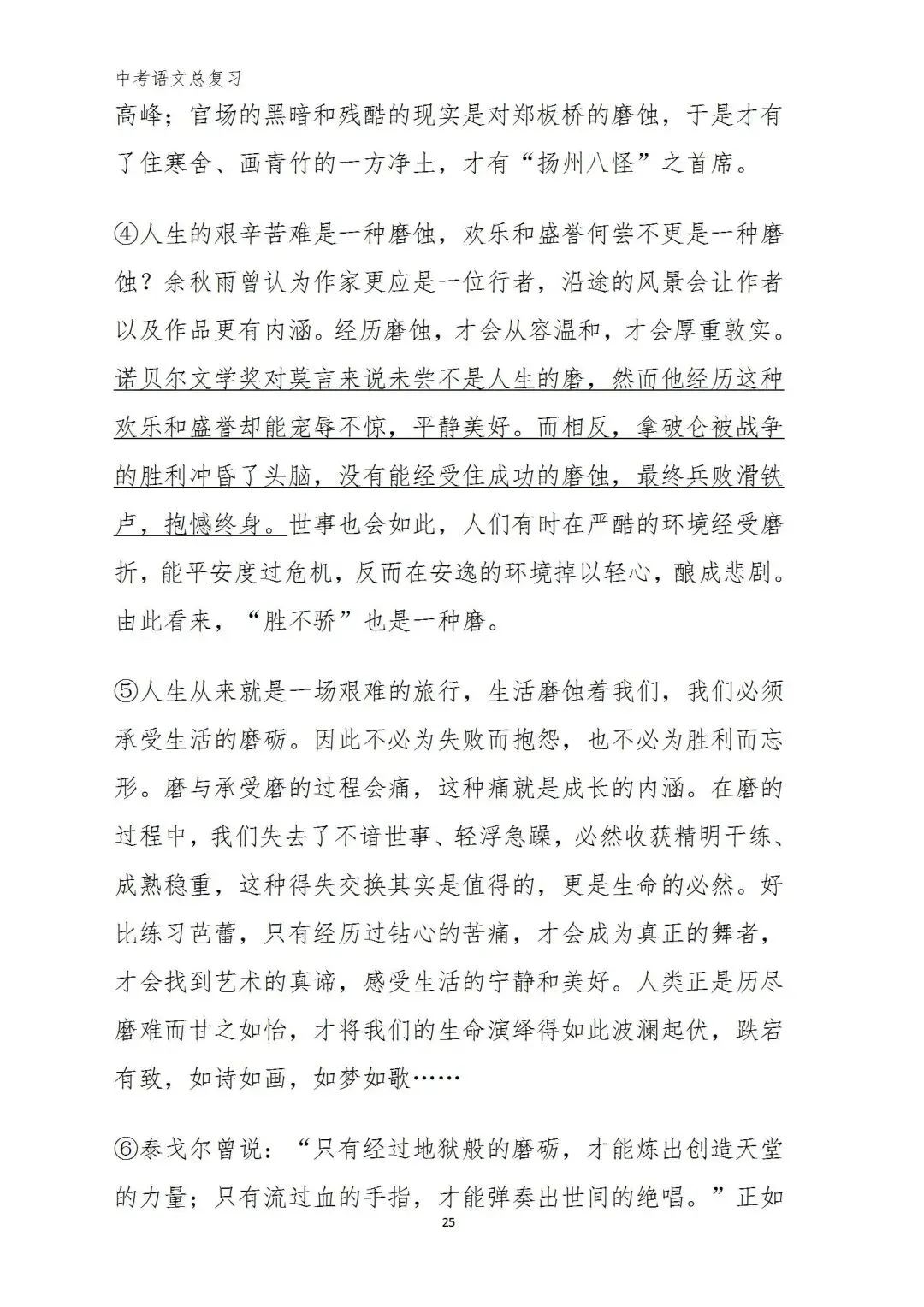 中考语文复习(考前习题+答案) 第22张