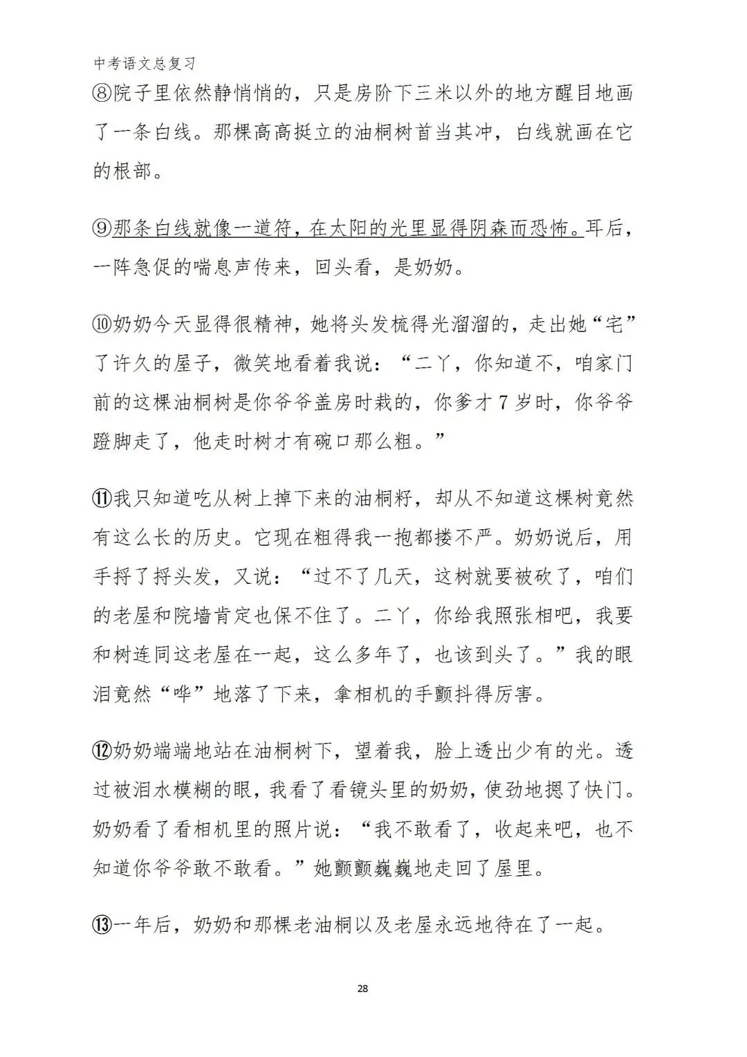 中考语文复习(考前习题+答案) 第25张