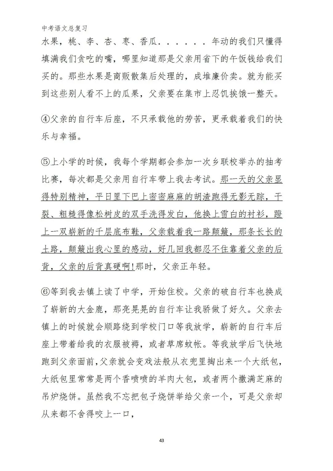 中考语文复习(考前习题+答案) 第38张