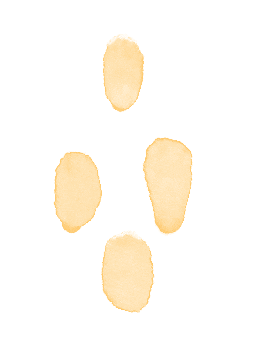 2026中考必备:全市学科&科技特长生招生计划全汇总 第28张