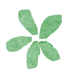 2026中考必备:全市学科&科技特长生招生计划全汇总 第35张