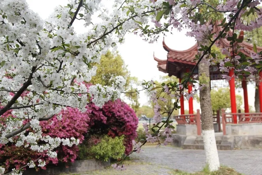 2026中考必备:全市学科&科技特长生招生计划全汇总 第115张