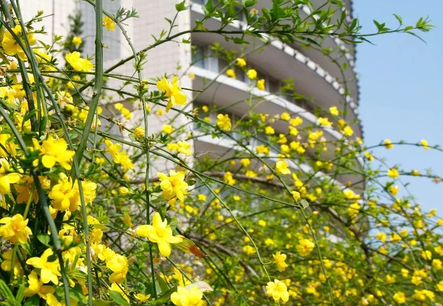 2026中考必备:全市学科&科技特长生招生计划全汇总 第116张