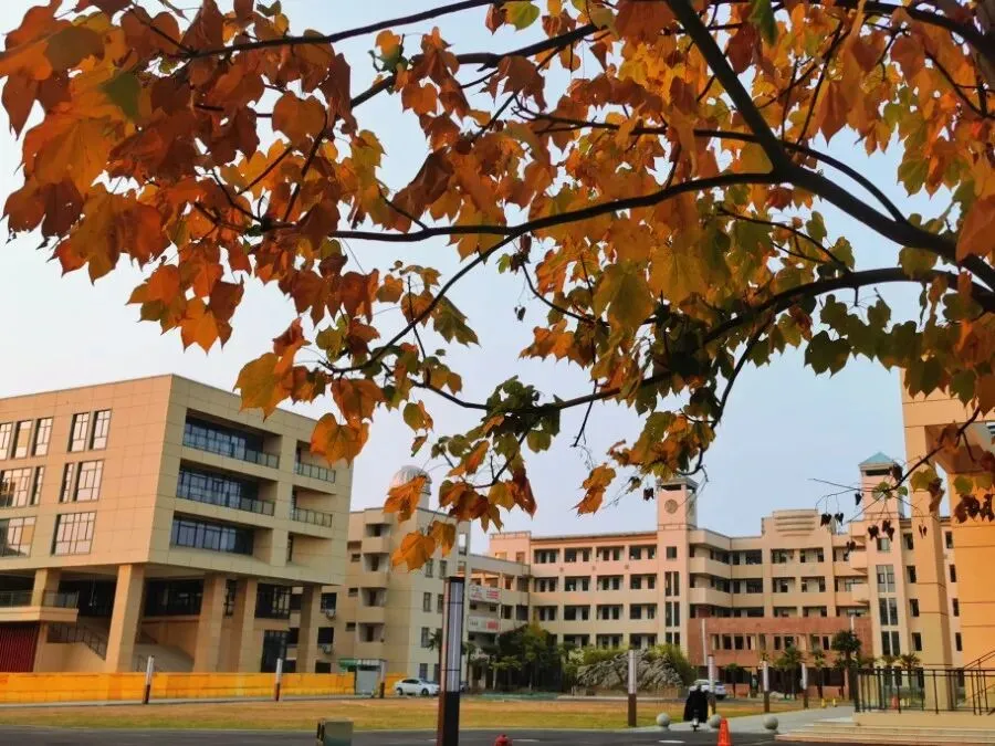 2026中考必备:全市学科&科技特长生招生计划全汇总 第117张