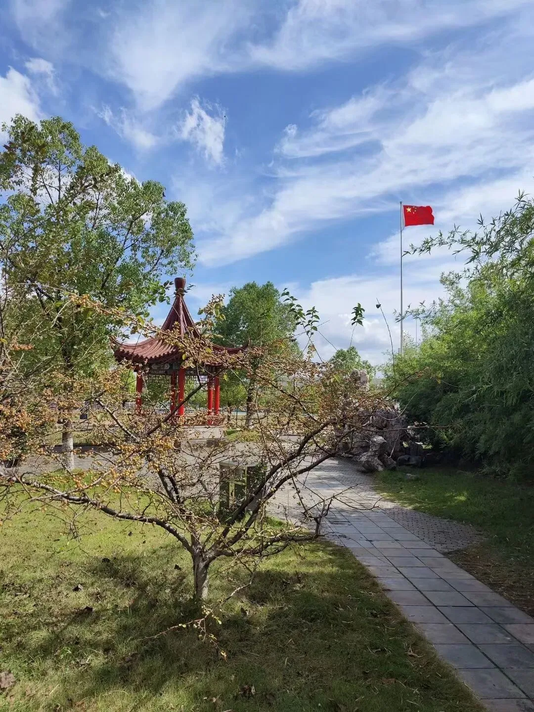 2026中考必备:全市学科&科技特长生招生计划全汇总 第122张