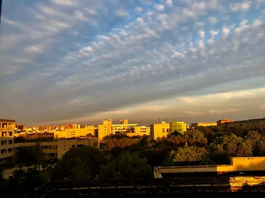 2026中考必备:全市学科&科技特长生招生计划全汇总 第123张