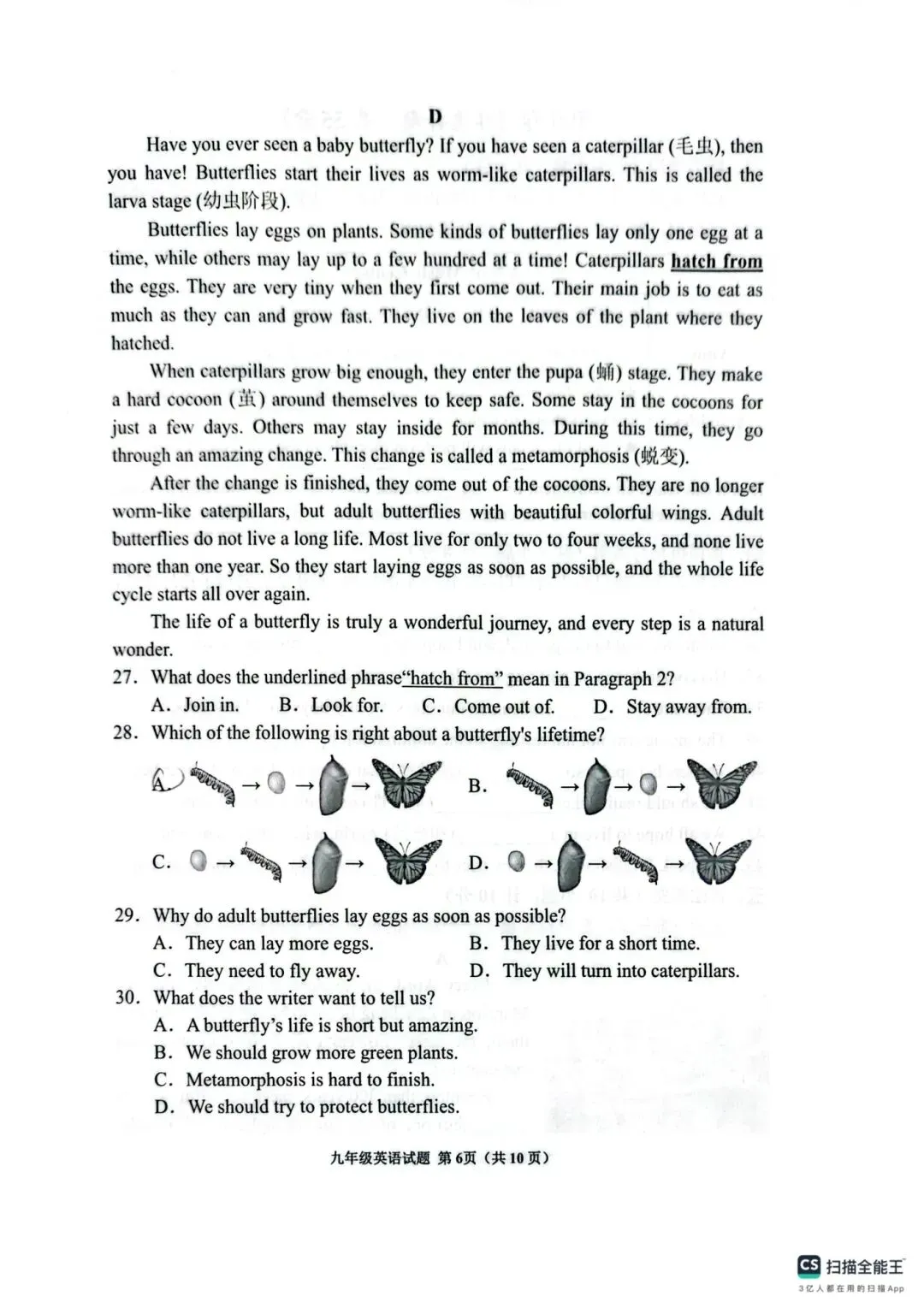 中考模拟题:2025-2026学年济宁市中考一模—邹城(含答案) 第8张