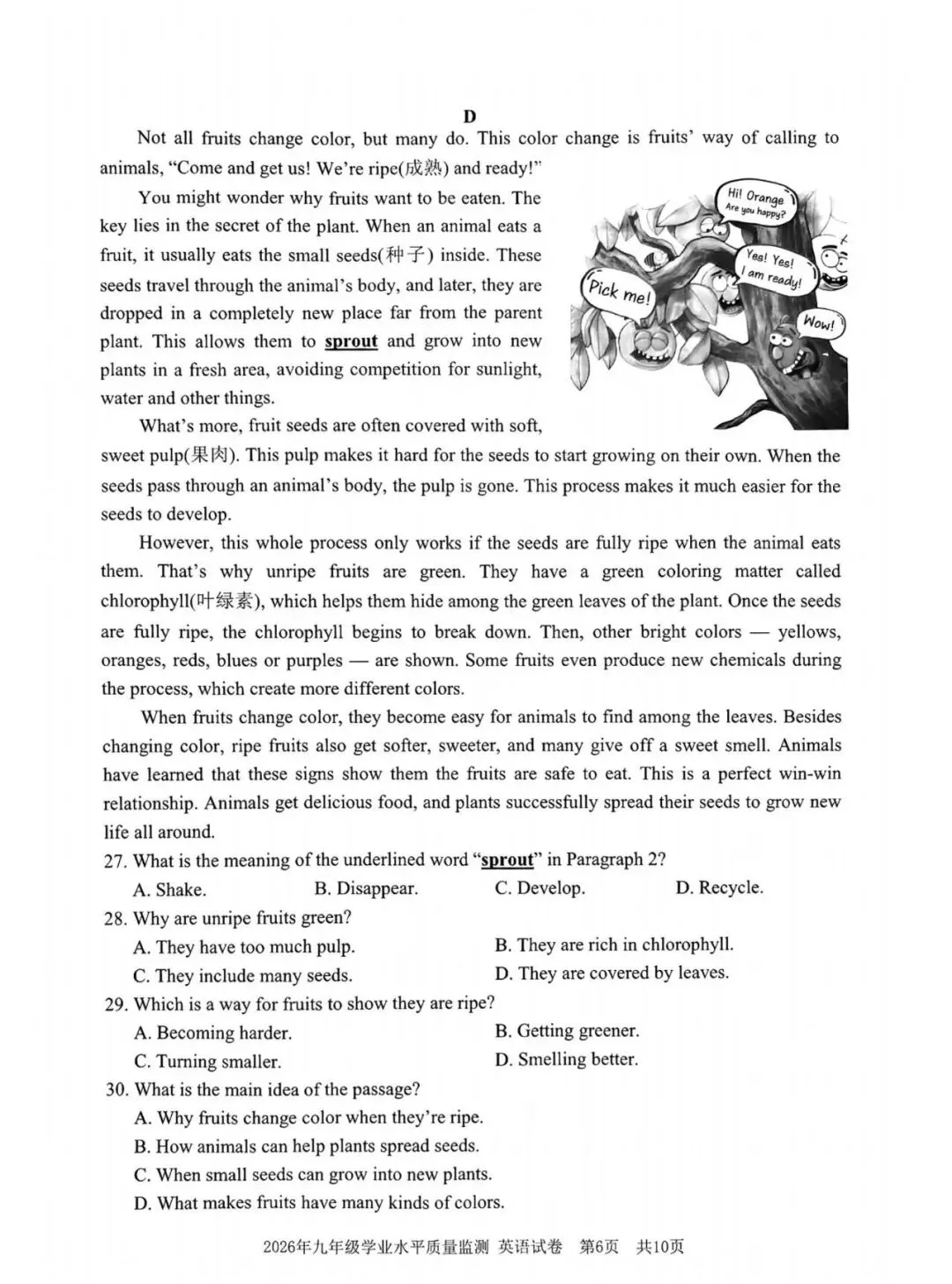 【中考模拟】2026宁波一模英语卷(附答案) 第7张