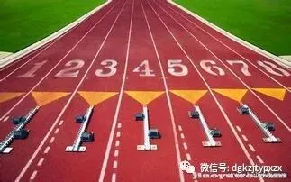 东莞中考体育培训周末班开始报名招生 第1张