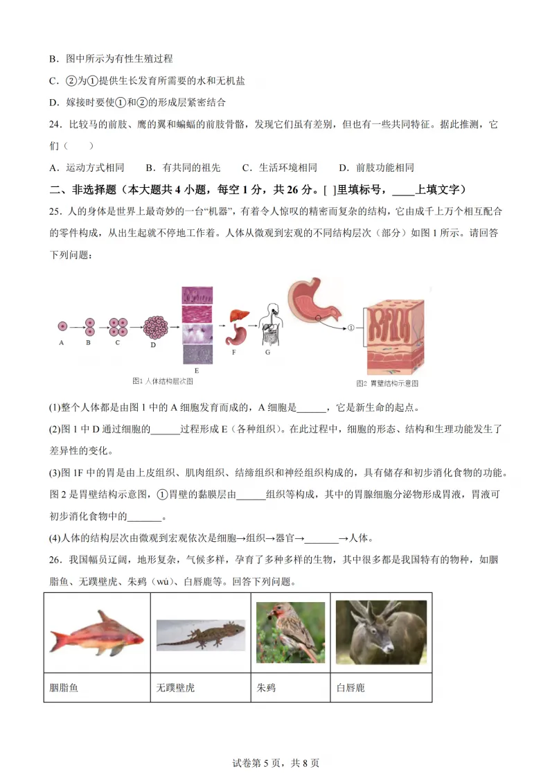 2026道里区八年级下生物一模 试卷+答案 第6张