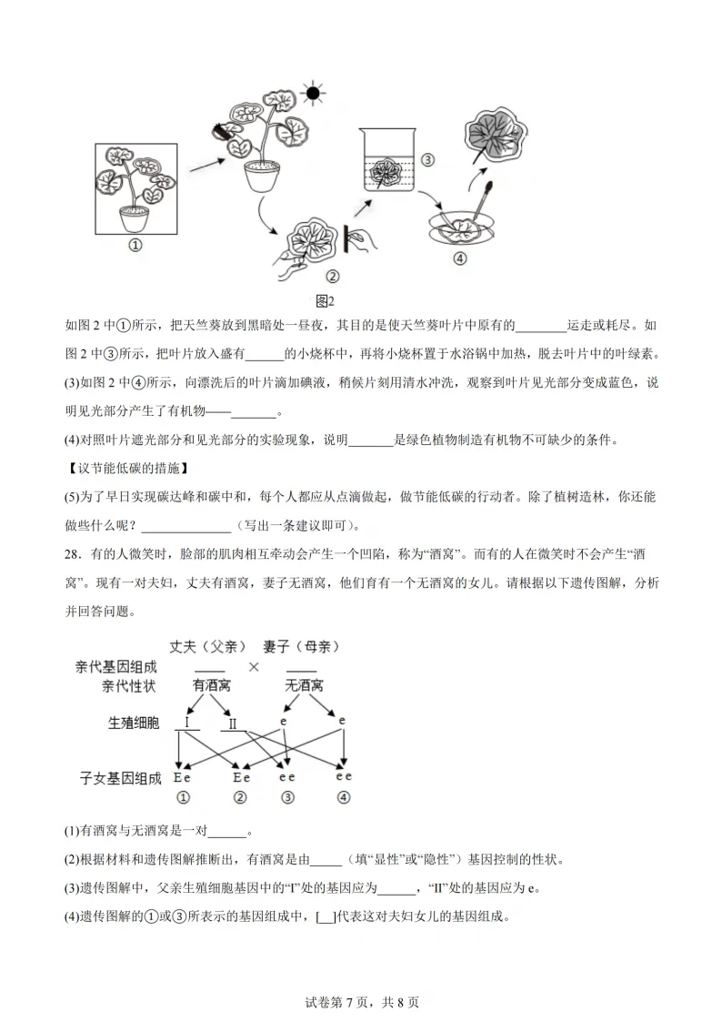 2026道里区八年级下生物一模 试卷+答案 第8张