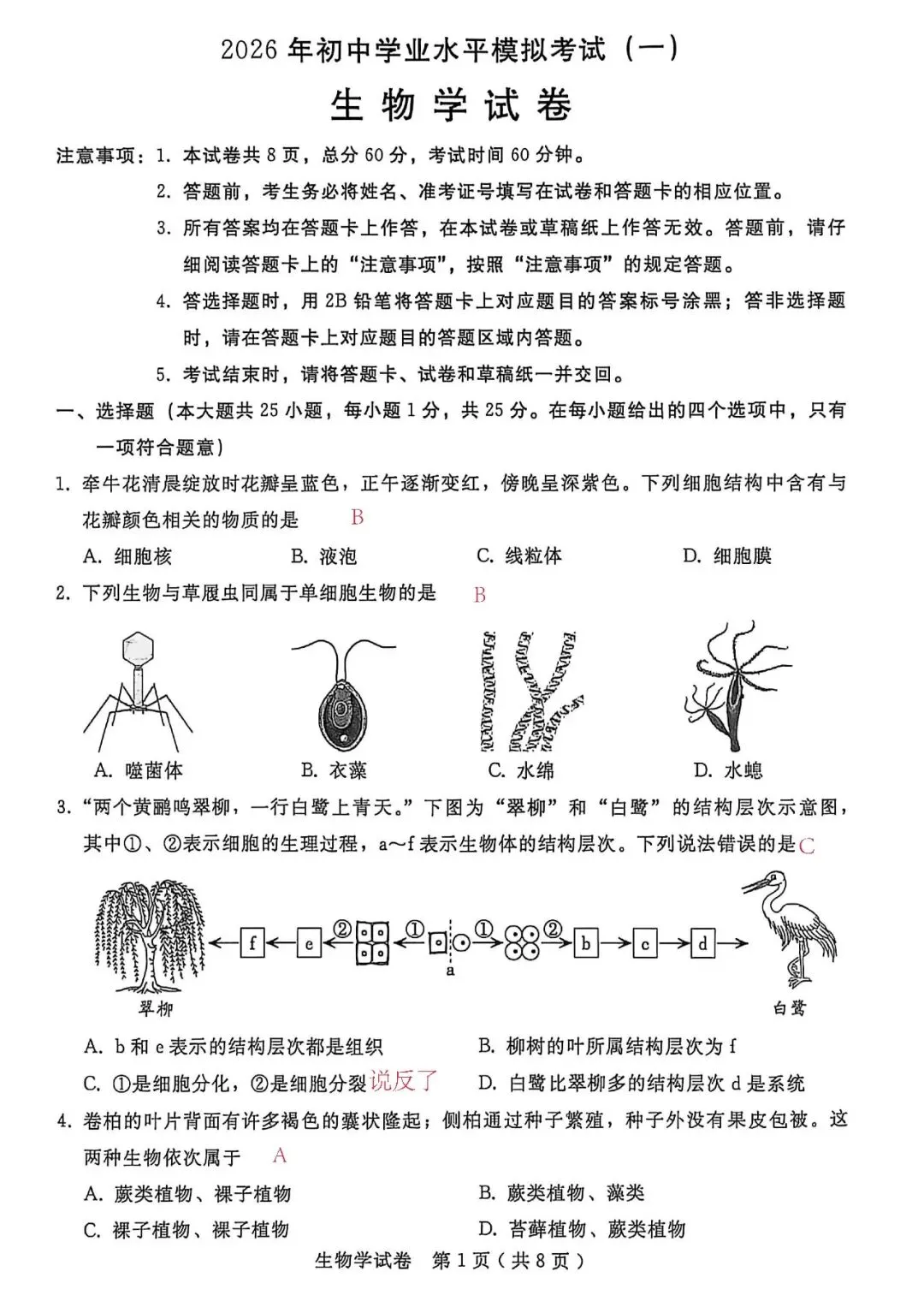 2026.4 邢台市中考一模试卷及答案解析(地理 生物) 第9张