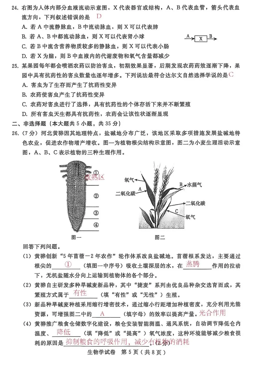 2026.4 邢台市中考一模试卷及答案解析(地理 生物) 第13张