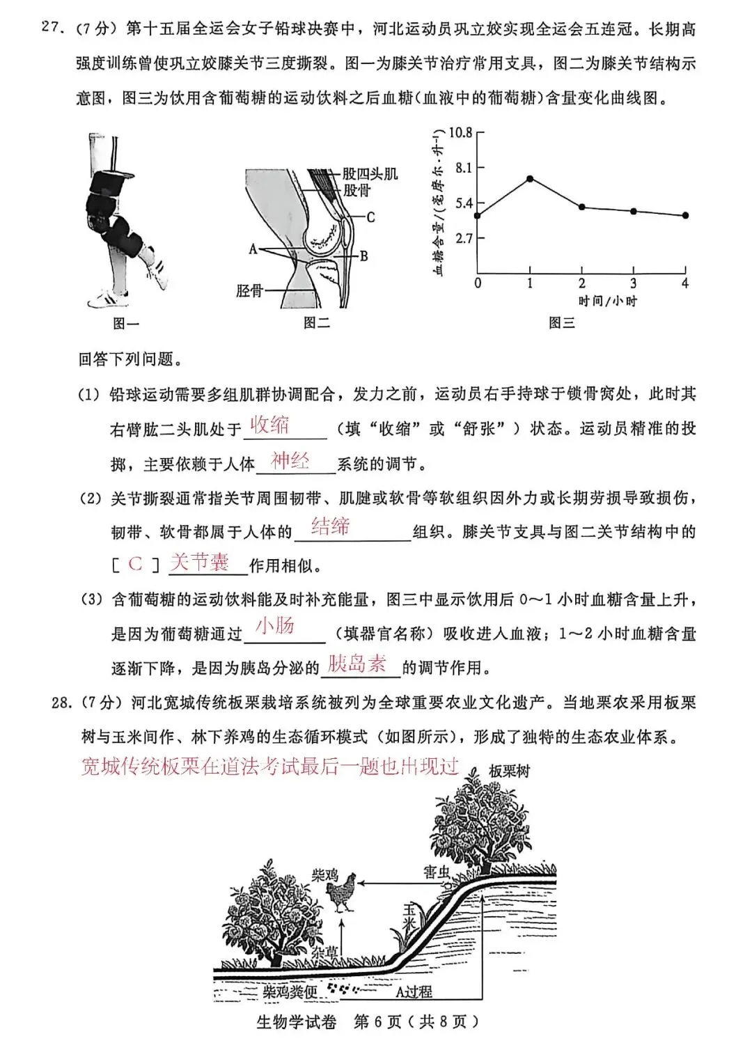 2026.4 邢台市中考一模试卷及答案解析(地理 生物) 第14张