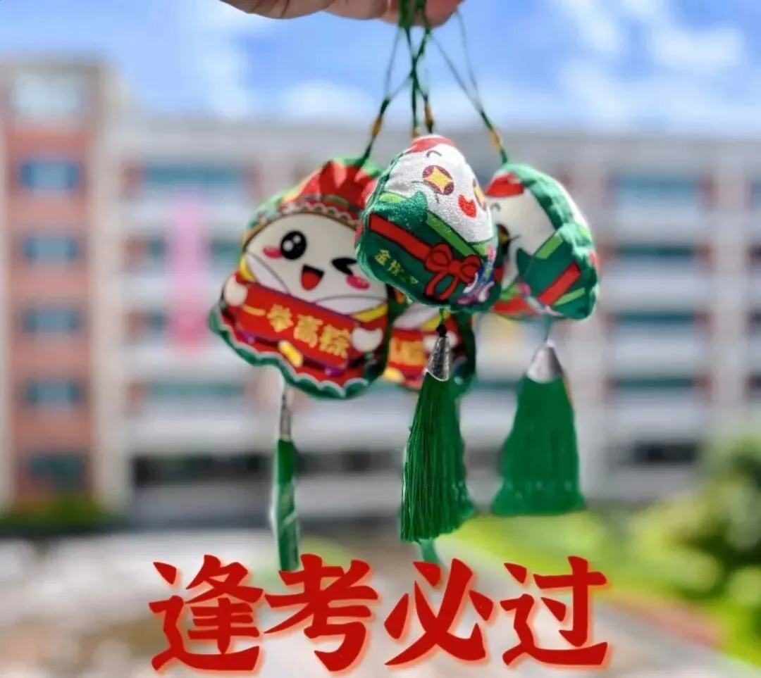 中考必胜|“粽”志成城,一举高“粽” 第4张