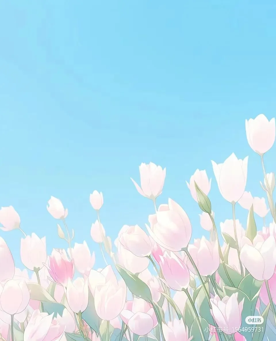 上海新高一分班考真题精讲课程 第5张