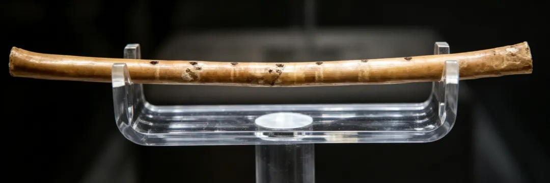 2026年中考物理精品模拟试卷 第5张